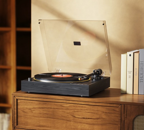 FIIO TT11 500x500.jpg